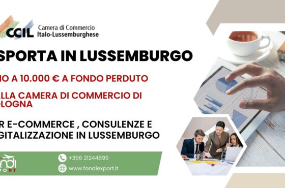 Digitalizzazione, E-commerce e consulenze in Lussemburgo con il finanziamento a fondo perduto sotto forma di voucher di 10.000 € della Camera di Commercio di Bologna