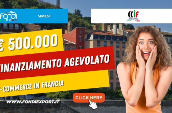 Stanziati 500.000 € per finanziamento agevolato alle imprese italiane per E-Commerce in Francia a Lione