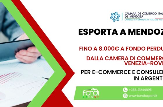 Finanziamento a fondo perduto di 8.000€ alle imprese di Venezia e di Rovigo per E-commerce e Consulenze in Argentina