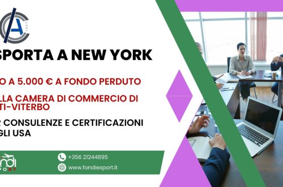 Supporto finanziario alle imprese laziali: ottieni fino a 5.000 € con il voucher per E-commerce, Digital Marketing e Consulenze negli Stati Uniti
