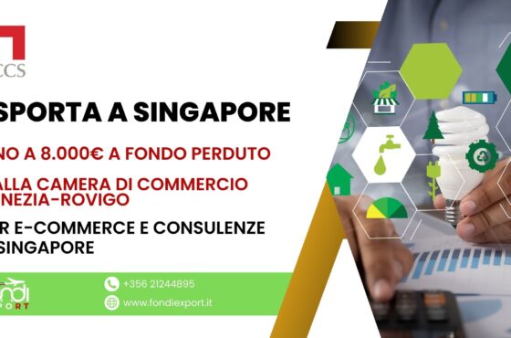Nuova possibilità di finanziamento: finanziamento a fondo perduto fino a 8.000€ per le aziende di di Venezia e di Rovigo e i loro progetti E-commerce e Consulenze a Singapore