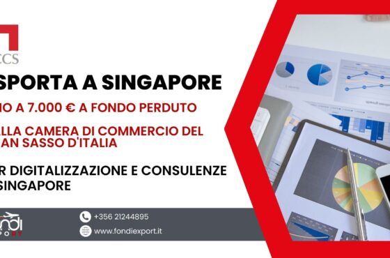 Supporto finanziario alle imprese locali abruzzesi: ottieni fino a 7.000 € con il voucher per Digitalizzazione e Consulenze a Singapore