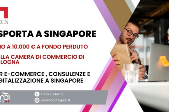 Le imprese bolognesi hanno l’opportunità di ottenere un finanziamento a fondo perduto sotto forma di voucher di 10.000 € per Digitalizzazione, E-commerce e consulenze a Singapore