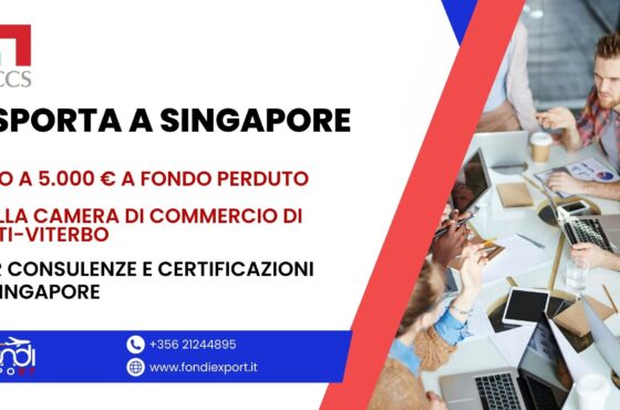 5.000 € di voucher per MPMI laziali per E-commerce, Digital Marketing e Consulenze a Singapore