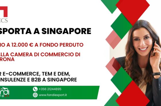 Le imprese veronesi possono avvalersi di un finanziamento a fondo perduto con importo massimo di 12.000 € per sviluppare un business internazionale a Singapore