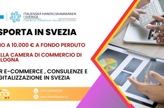 Supporto finanziario alle imprese bolognesi: ottieni fino a 10.000 € con il finanziamento a fondo perduto sotto forma di voucher per Digitalizzazione, E-commerce e consulenze in Svezia