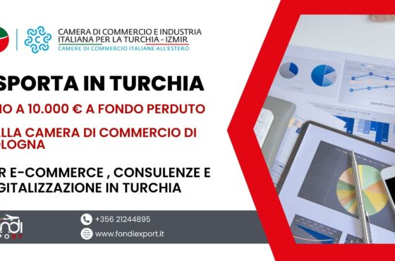 Finanziamento a fondo perduto sotto forma di voucher fino 10.000 € per le aziende bolognesi per Digitalizzazione, E-commerce e consulenze in Turchia