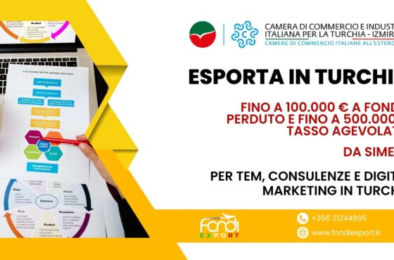 Stanziati 500.000 € per finanziamento agevolato alle imprese italiane per TEM, Consulenze e Digital Marketing in Turchia