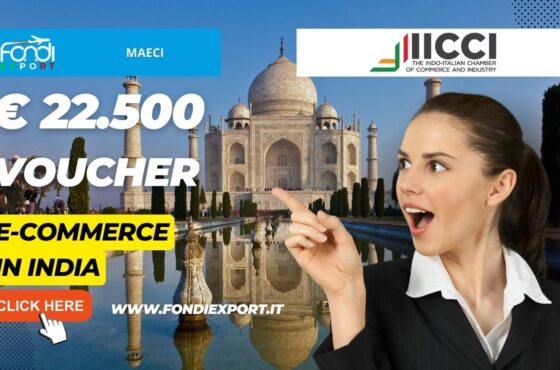 Il MAECI investe 22.500€ a fondo perduto per l’export in India per e-commerce e digital marketing