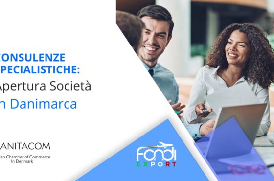 Apertura società in Danimarca
