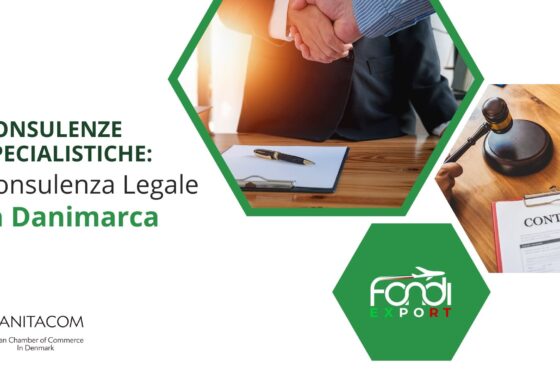 Consulenza legale in Danimarca