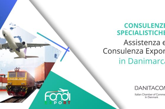 Assistenza e consulenza export in Danimarca