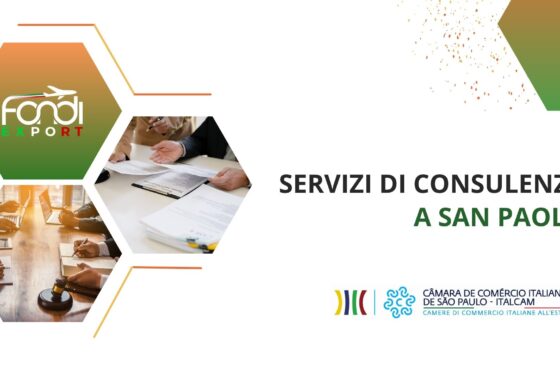 Servizi di consulenza a San Paolo