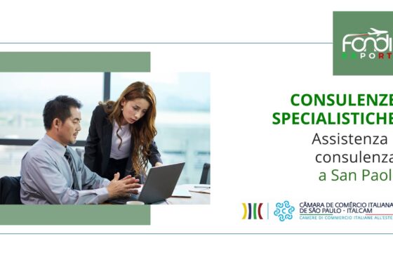 Assistenza e consulenza export a San Paolo