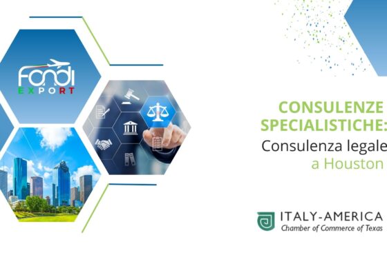 Consulenza legale a Houston
