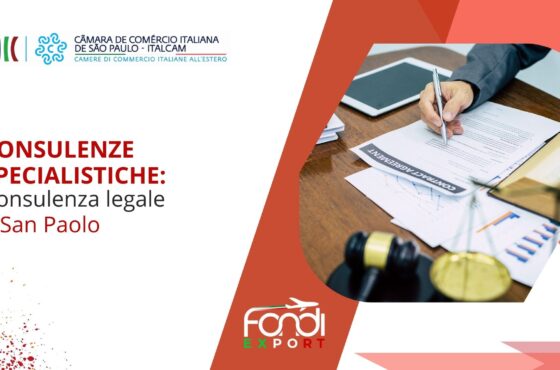 Consulenza legale a San Paolo
