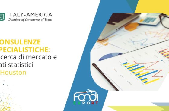 Ricerca di mercato e dati statistici a Houston