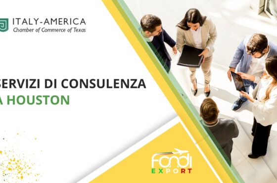 Servizi di consulenza a Houston