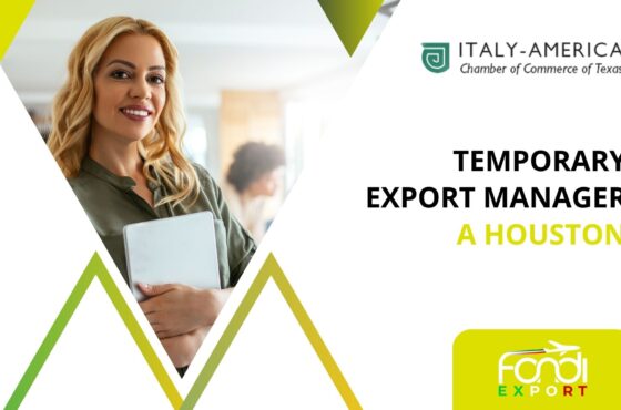 Temporary Export Manager a Houston