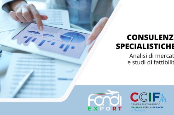 Analisi di mercato e studi di fattibilità in Francia a Marsiglia