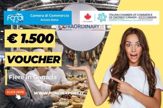Rivoluzione export in Canada a Toronto: scala il mercato canadese con il finanziamento a fondo perduto di €1.500 e la Camera di Commercio Italiana dell’Ontario ICCO Canada