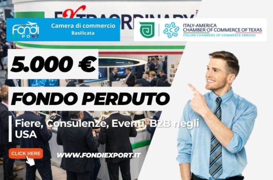 Ci sono contributi per Fiere, Consulenze, Eventi, B2B negli USA in texas? Sì: 5.000 euro dalla Camera di Commercio della Basilicata