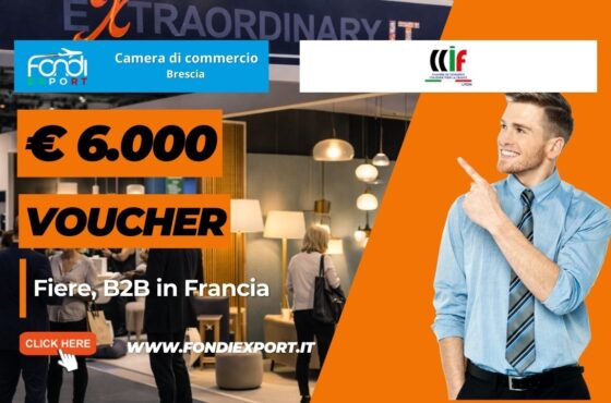 Obiettivo mercato francese: come ottenere il voucher di €6.000 della Camera di Commercio di Brescia prima che finisca