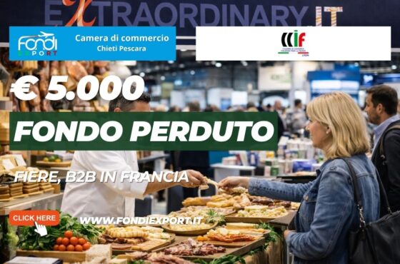 Strategia vincente nel mercato francese: finanziamento a fondo perduto di €5.000 e supporto della Camera di Commercio Italiana per la Francia di Lione
