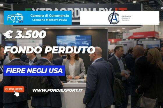 Il tuo business negli USA a New York non può aspettare: richiedi il finanziamento a fondo perduto di €3.500 della Camera di Commercio di Cremona Mantova Pavia