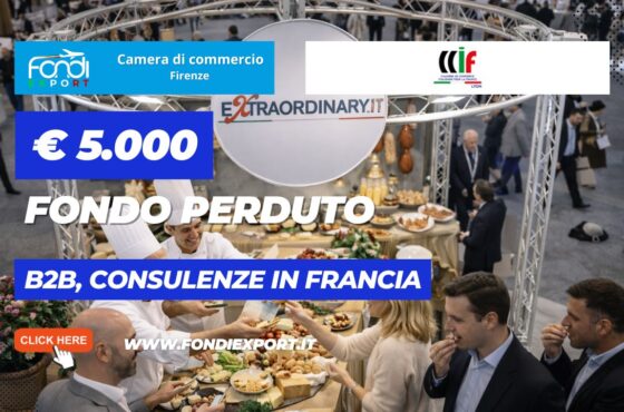 Export in Francia a Lione: ottieni €5.000 per B2B Ricerca Partners, Consulenza Export, Temporary Export Manager
