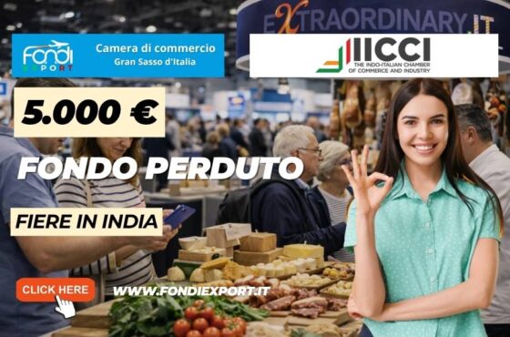 finanziamento a fondo perduto di 5.000 euro per esportare nel mercato indiano: bando Camera di Commercio del Gran Sasso d’Italia