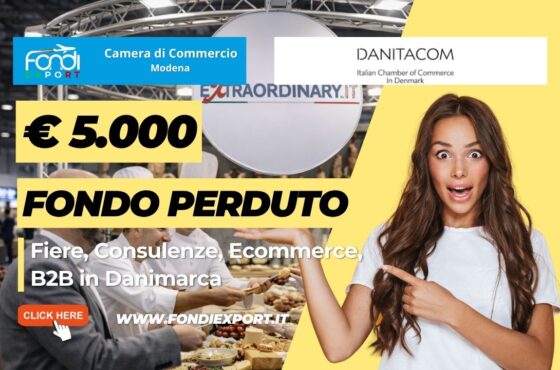 Vendi nel mercato danese con il finanziamento a fondo perduto di €5.000 pronti per la tua azienda dalla Camera di Commercio di Modena