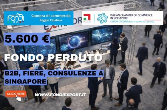 Come finanziare B2B, Fiere, Consulenze a Singapore con il bando della Camera di Commercio di Reggio Calabria
