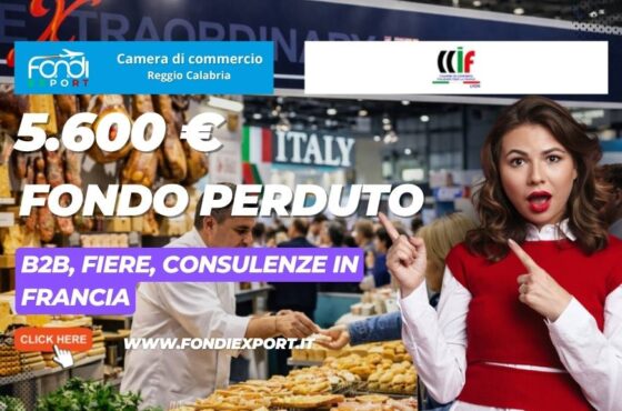 Ottieni € 5.600 dalla Camera di Commercio di Reggio Calabria per partecipare a B2B, Fiere, Consulenze in Francia a Lione