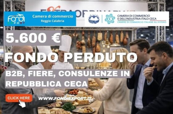 finanziamento a fondo perduto di € 5.600 per B2B, Fiere, Consulenze in Repubblica Ceca: scopri il bando della Camera di Commercio di Reggio Calabria per l’export