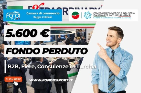 Fino a € 5.600 per partecipare a B2B, Fiere, Consulenze in Turchia a Izmir con la Camera di Commercio di Reggio Calabria