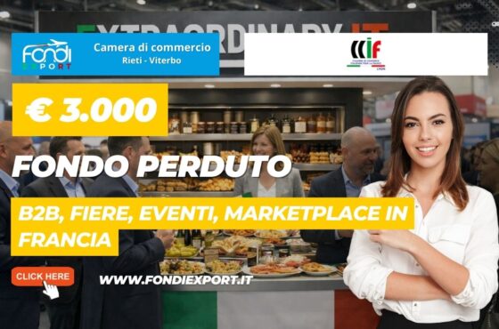 Espansione in Francia a Lione senza rischi: sblocca il finanziamento a fondo perduto di €3.000 garantito dalla Camera di Commercio di Rieti-Viterbo