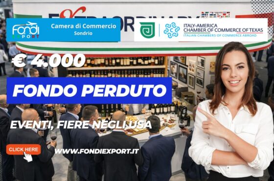 Espansione negli USA in texas senza rischi: sblocca il finanziamento a fondo perduto di €4.000 garantito dalla Camera di Commercio di Sondrio