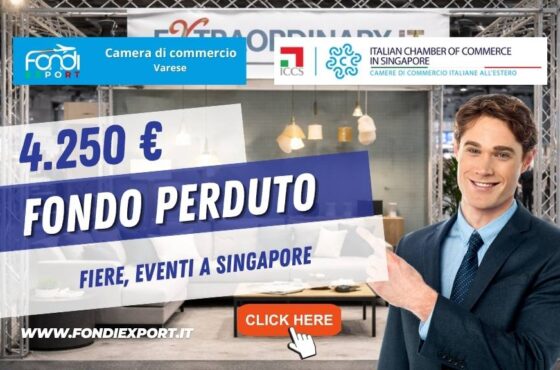 4.250 euro per esportare a Singapore: il bando della Camera di Commercio di Varese da non perdere