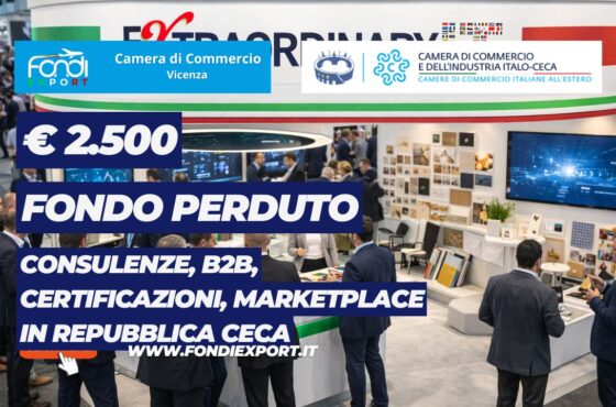 Consulenze, B2B, Certificazioni, marketplace 2026: scala il mercato russo con i fondi della Camera di Commercio di Vicenza di €2.500