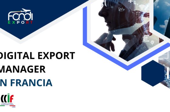 Digital Export Manager in Francia a Lione