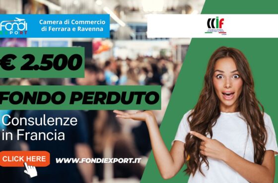 Partecipa all’acquisto di servizi di consulenza export, Temporary Export Manager/ Digital Export Manager, analisi mercati, promozione prodotti, B2B, eventi promozionali in Francia a Lione con 2.500 euro a fondo perduto: spingi l’export della tua azienda