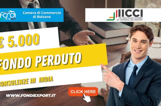 Finanziamento a fondo perduto di 5000 euro “Chiavi in mano”: la tua strategia vincente in India con Camera di Commercio di Bolzano