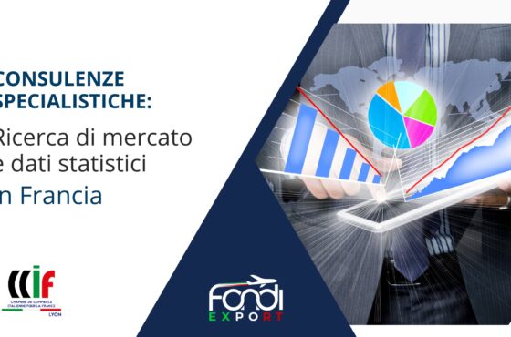 Ricerca di mercato e dati statistici in Francia a Lione