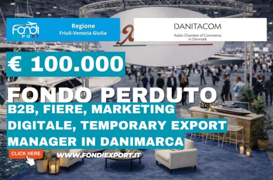 €100.000 pronti all’uso: come la Regione Friuli Venezia Giulia finanzia B2B, Fiere, marketing digitale, Temporary Export Manager con la Camera di Commercio Italiana in Danimarca nel 2026