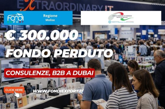 Consulenze, B2B 2026: scala il mercato emiratino con i fondi della Regione Molise di €300.000