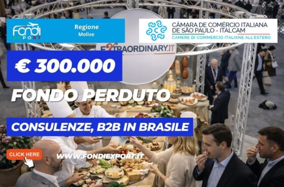 €300.000 per Consulenze, B2B con la Camera di Commercio Italiana in Brasile