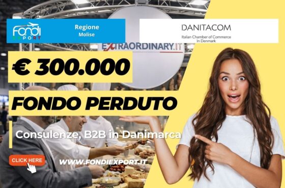 Espansione in Danimarca senza rischi: sblocca il finanziamento a fondo perduto di €300.000 garantito dalla Regione Molise