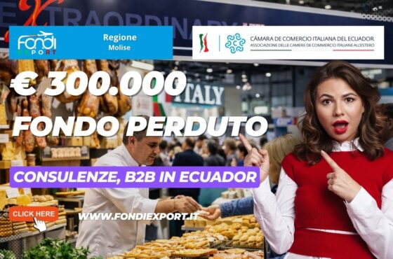 Ottieni €300.000 dalla Regione Molise per Consulenze, B2B con la Camara de Comercio Italiana del Ecuador