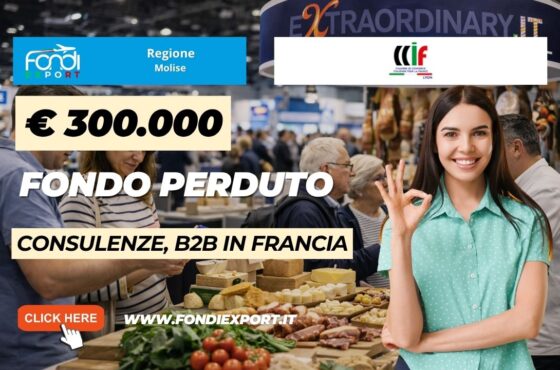 Export in Francia a Lione: guida pratica per ottenere il finanziamento a fondo perduto di €300.000 dalla Regione Molise